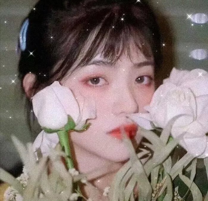 少女与战车